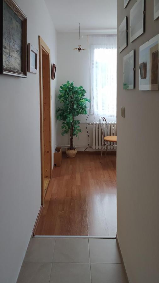 Apartman V Srni Ngoại thất bức ảnh